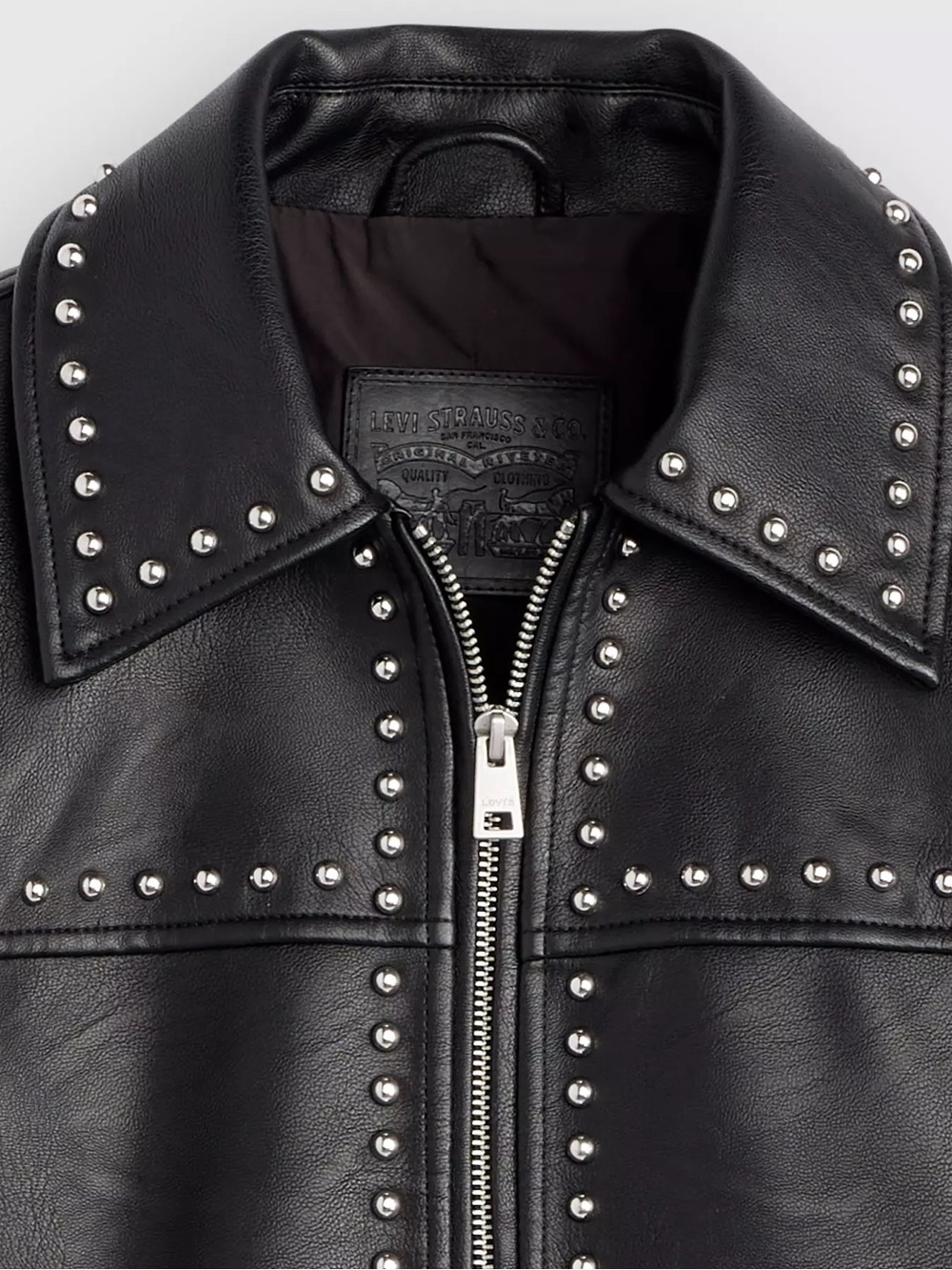 Jacket - Picture 3 of 7